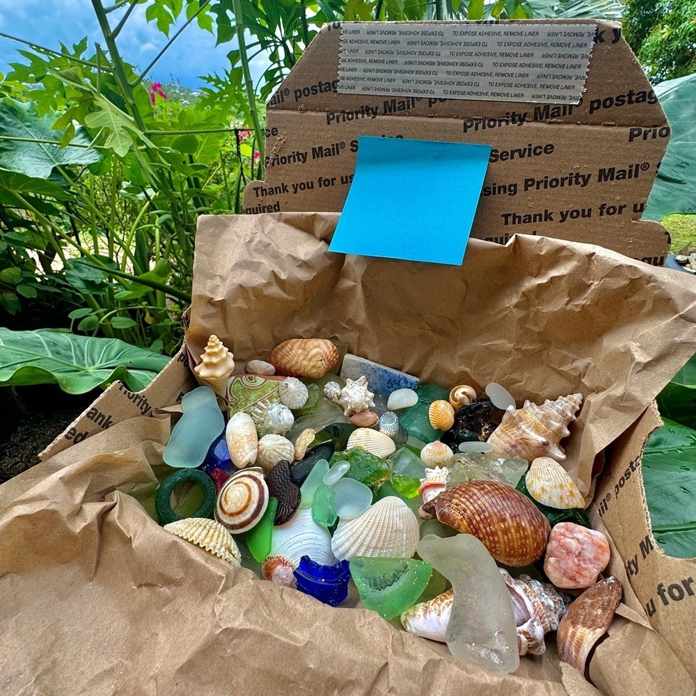 Beach mystery box Sea shells sea glass Puerto Rico Caribbean mermaid treasures